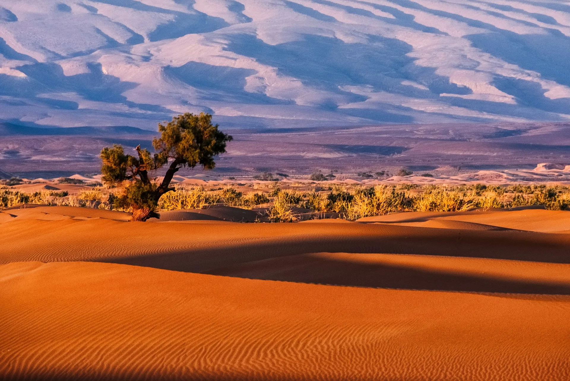 Desert landscape of M’Hamid with Jbel Bani in southern Morocco.