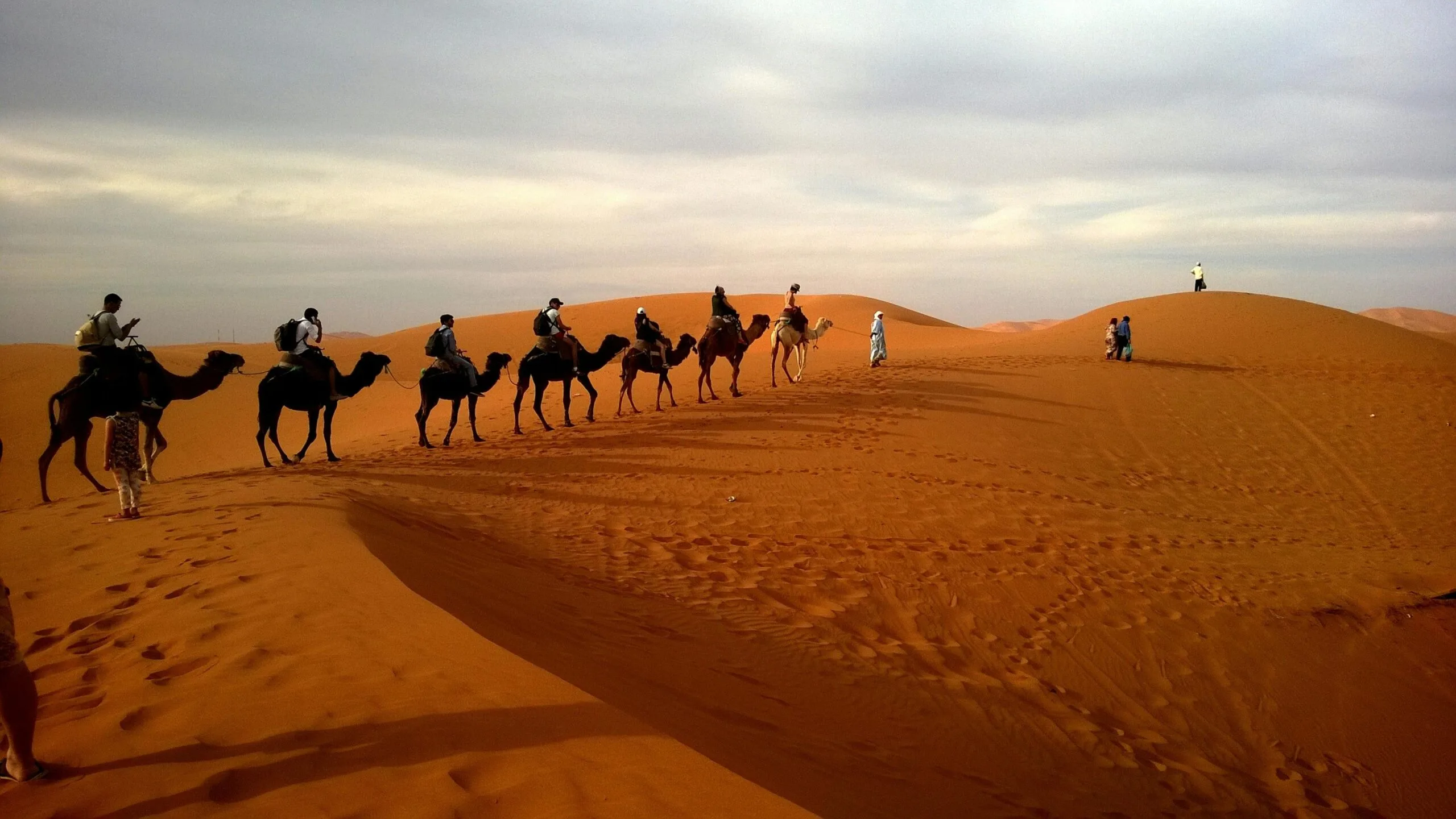 Travelers riding camels in the Merzouga Desert in Morocco