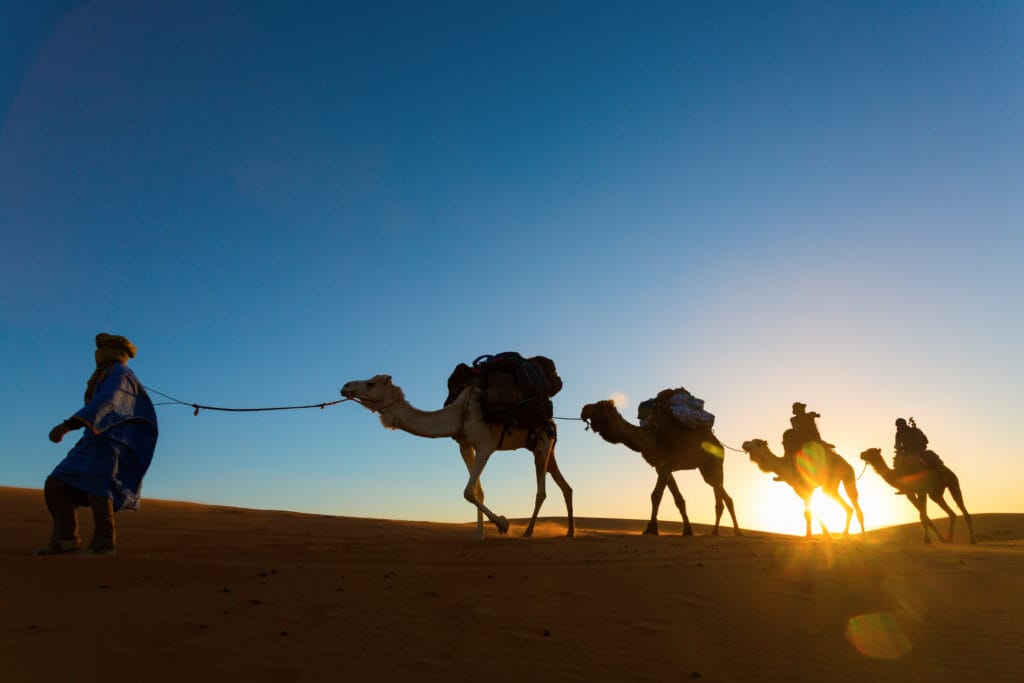 camel-caravan-going-through-the-desert of merzouga M orocco