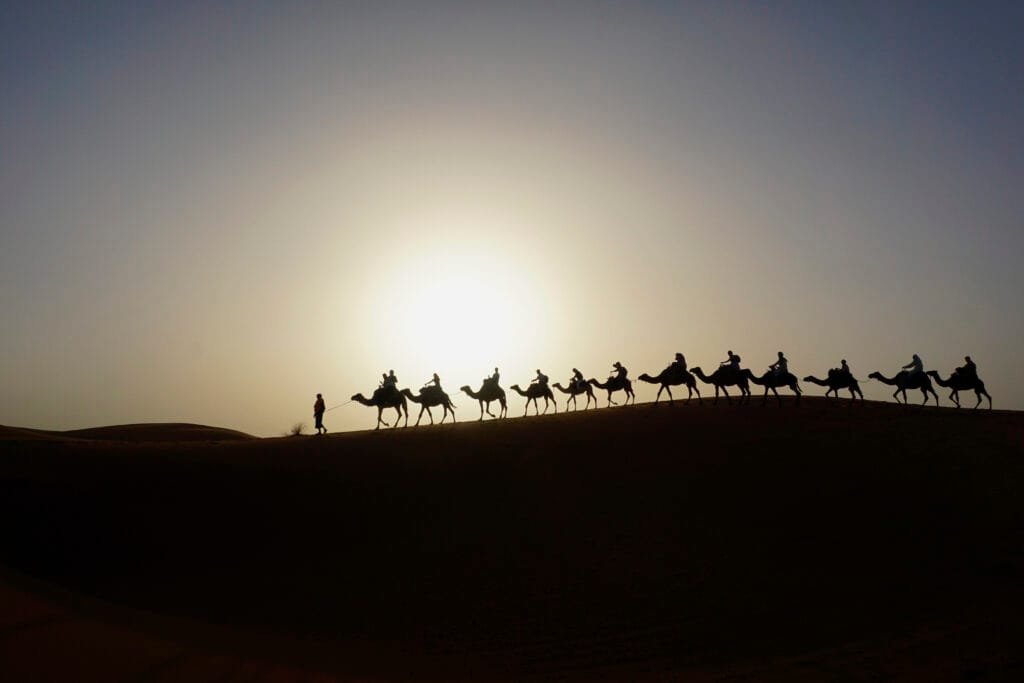 Camel caravan on the dune of Erg CLihoudi Mhamid Desert at Morocco