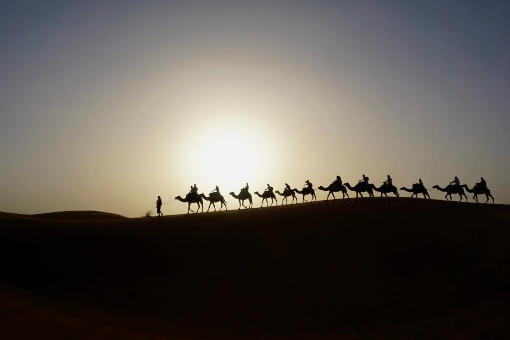 Camel caravan on the dune of Erg CLihoudi Mhamid Desert at Morocco