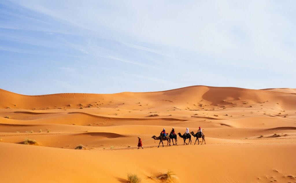 Camel trekking in the Merzouga Desert Morocco