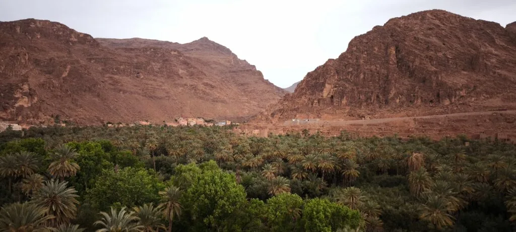 A scenic view of the Todra Valley in southern Morocco, featuring lush palm groves stretching along the riverbed beneath the towering golden-red walls of the Todra Gorge canyon, with traditional Berber villages nestled among the vegetation.