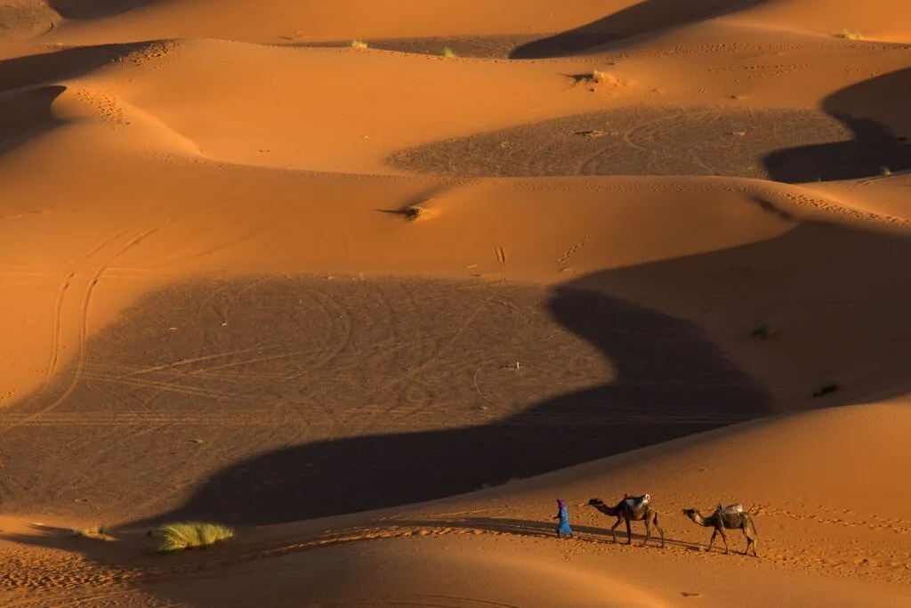 Golden Sahara Desert dunes in Morocco, highlighting the peaceful landscapes of a private desert tour.