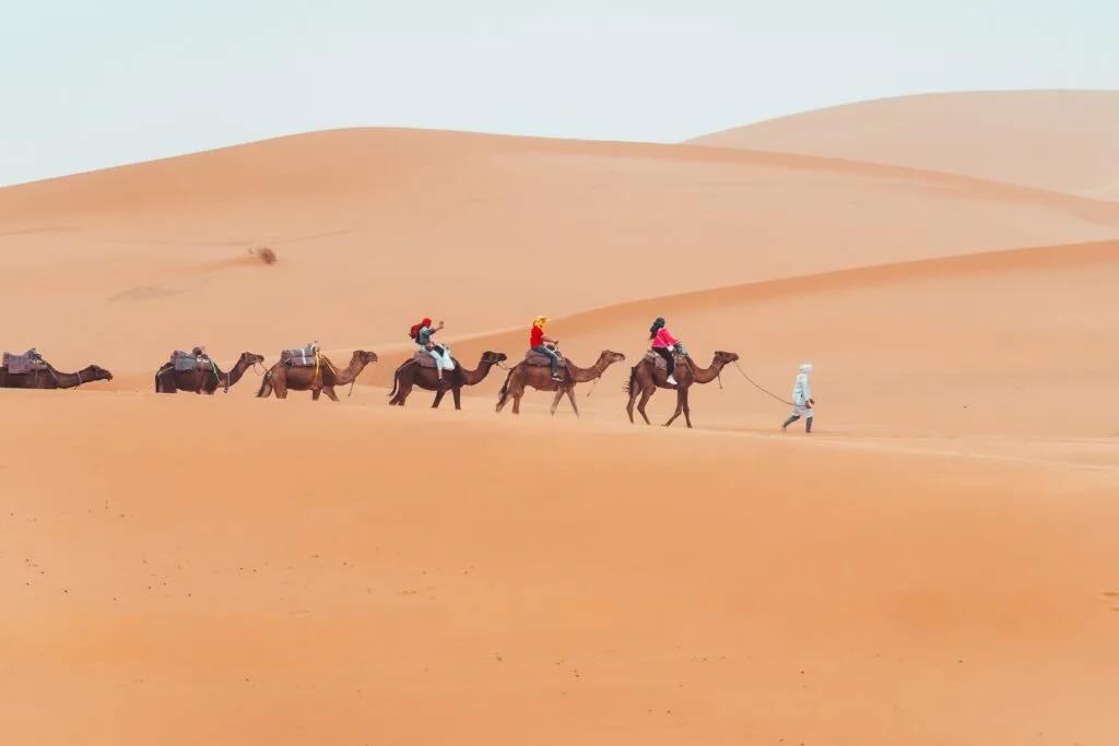 A camel trekking excursion across the golden sand dunes of Merzouga in the Sahara Desert, Morocco, with riders on camels moving through the vast Erg Chebbi dune landscape under a wide open sky.