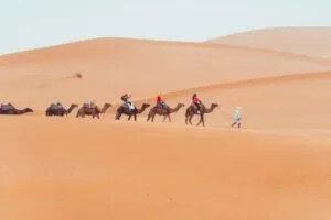 A camel trekking excursion across the golden sand dunes of Merzouga in the Sahara Desert, Morocco, with riders on camels moving through the vast Erg Chebbi dune landscape under a wide open sky.
