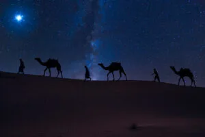 Camels walking across sand dunes in the Moroccan Sahara at night under a sky full of stars.